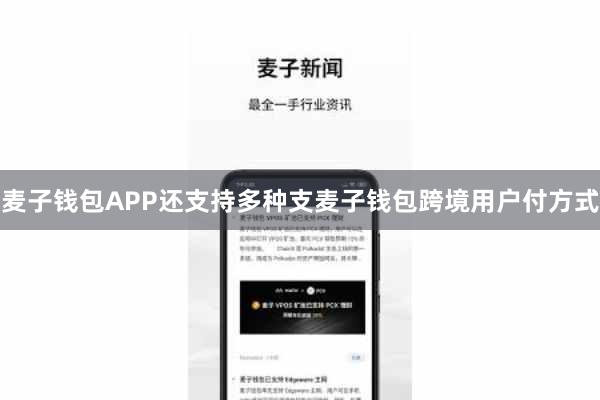 麦子钱包APP还支持多种支麦子钱包跨境用户付方式