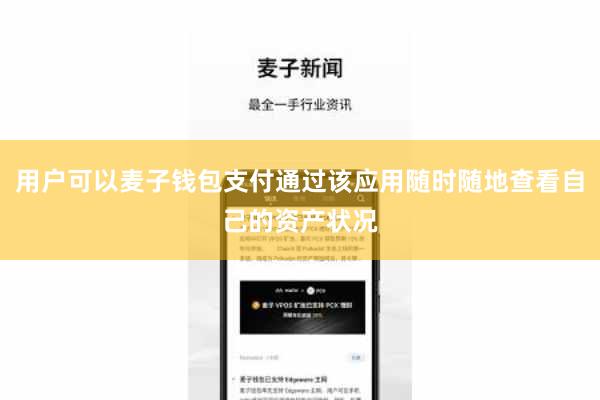 用户可以麦子钱包支付通过该应用随时随地查看自己的资产状况