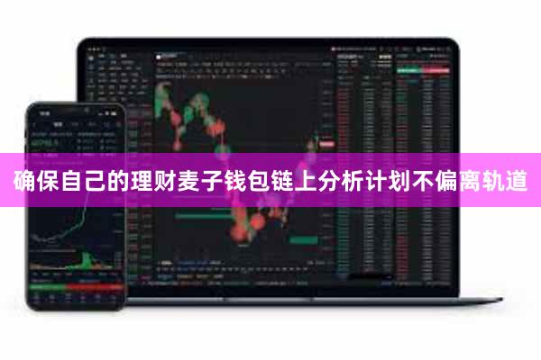 确保自己的理财麦子钱包链上分析计划不偏离轨道
