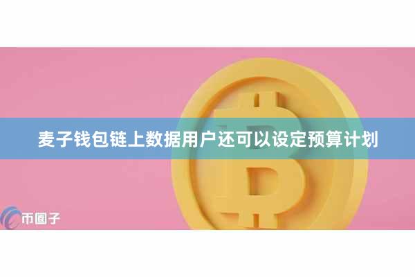 麦子钱包链上数据用户还可以设定预算计划