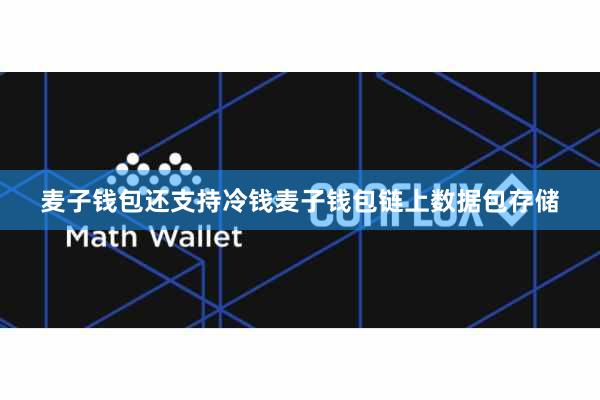 麦子钱包还支持冷钱麦子钱包链上数据包存储