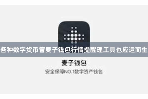 各种数字货币管麦子钱包行情提醒理工具也应运而生