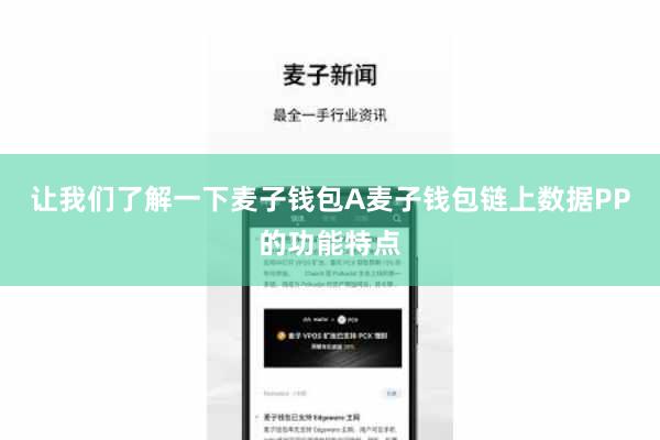 让我们了解一下麦子钱包A麦子钱包链上数据PP的功能特点