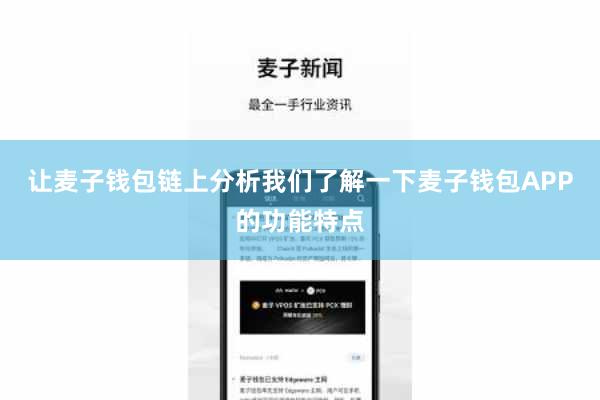 让麦子钱包链上分析我们了解一下麦子钱包APP的功能特点