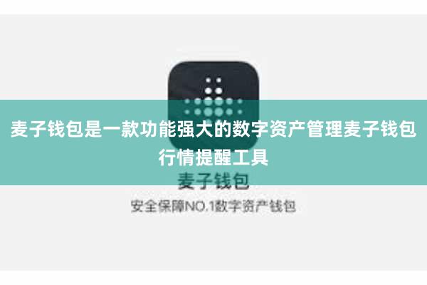 麦子钱包是一款功能强大的数字资产管理麦子钱包行情提醒工具