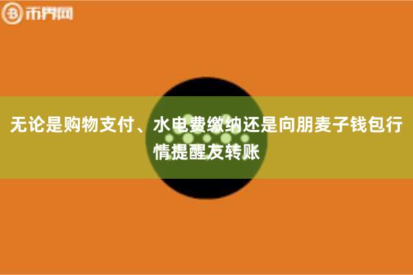 无论是购物支付、水电费缴纳还是向朋麦子钱包行情提醒友转账