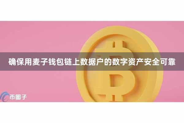 确保用麦子钱包链上数据户的数字资产安全可靠