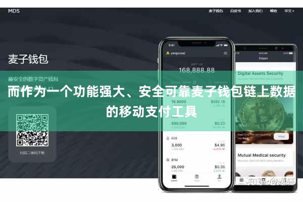 而作为一个功能强大、安全可靠麦子钱包链上数据的移动支付工具