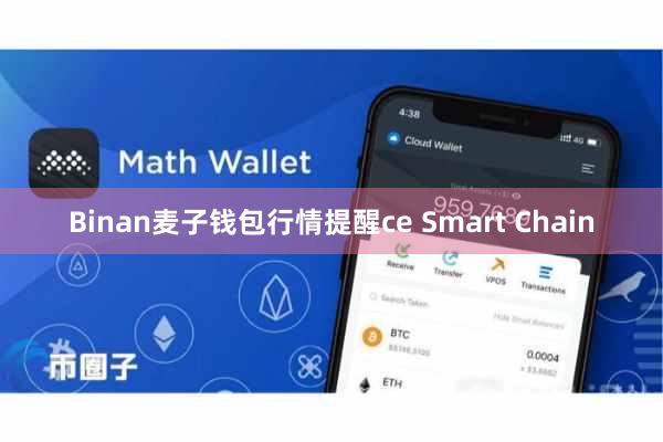 Binan麦子钱包行情提醒ce Smart Chain