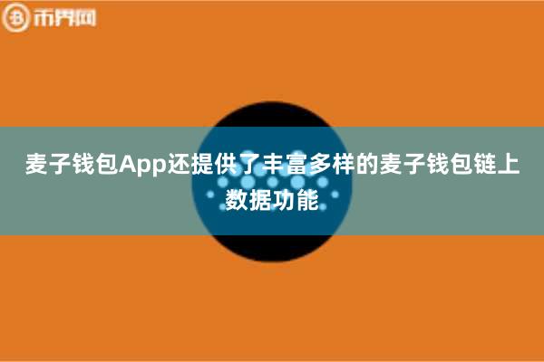 麦子钱包App还提供了丰富多样的麦子钱包链上数据功能
