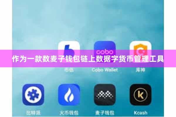 作为一款数麦子钱包链上数据字货币管理工具