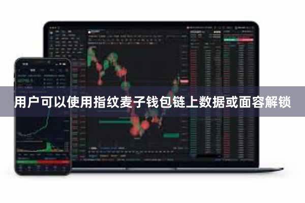 用户可以使用指纹麦子钱包链上数据或面容解锁