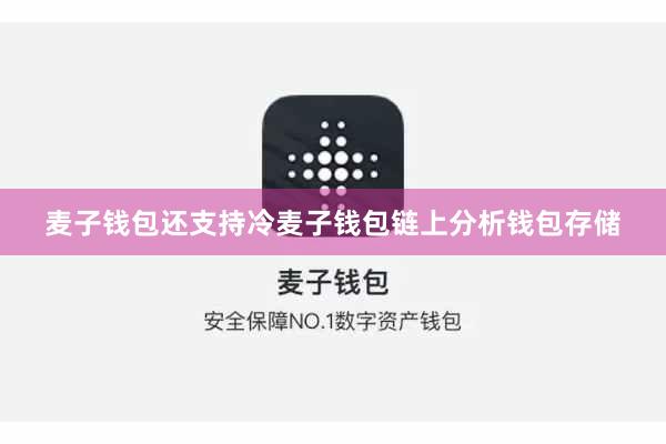 麦子钱包还支持冷麦子钱包链上分析钱包存储
