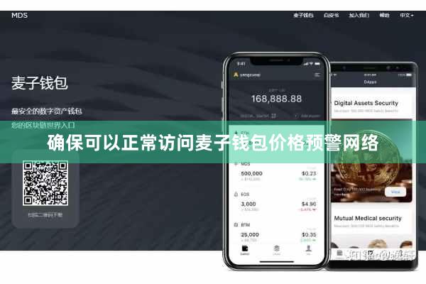 确保可以正常访问麦子钱包价格预警网络