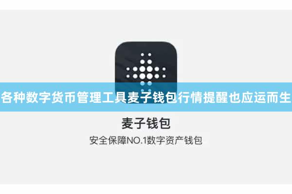 各种数字货币管理工具麦子钱包行情提醒也应运而生