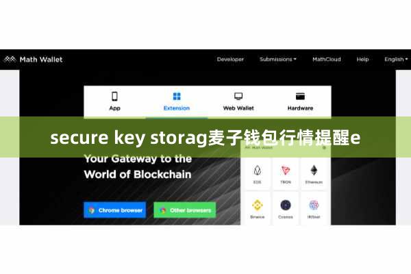 secure key storag麦子钱包行情提醒e