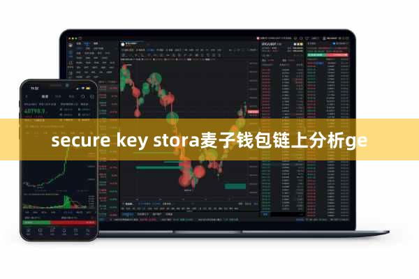 secure key stora麦子钱包链上分析ge