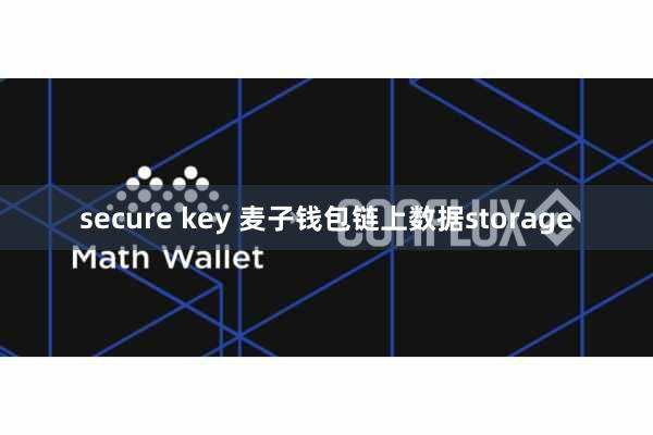 secure key 麦子钱包链上数据storage