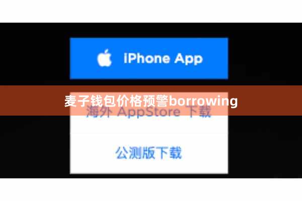麦子钱包价格预警borrowing