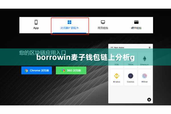 borrowin麦子钱包链上分析g