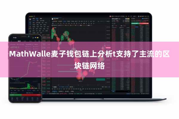 MathWalle麦子钱包链上分析t支持了主流的区块链网络