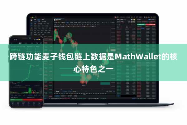 跨链功能麦子钱包链上数据是MathWallet的核心特色之一