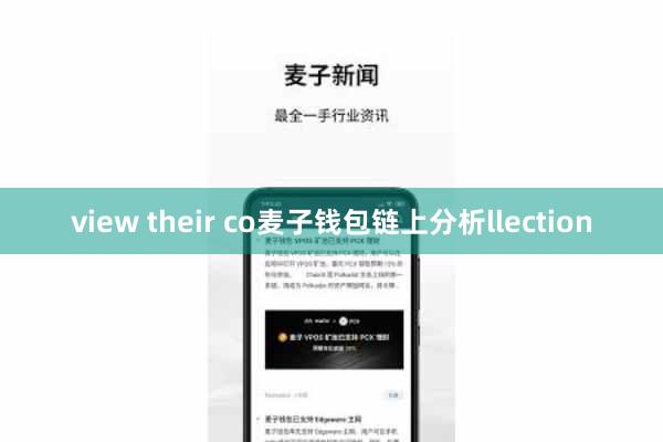 view their co麦子钱包链上分析llection