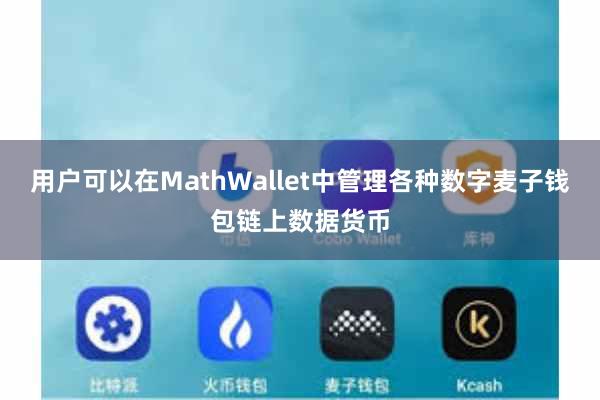 用户可以在MathWallet中管理各种数字麦子钱包链上数据货币