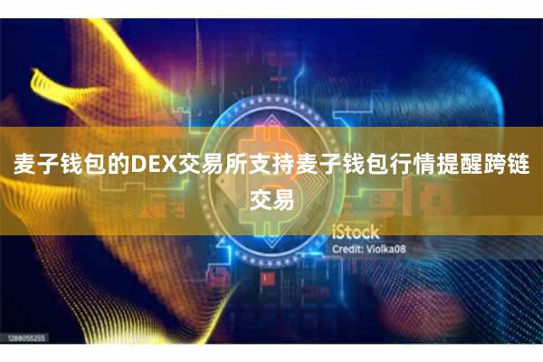 麦子钱包的DEX交易所支持麦子钱包行情提醒跨链交易