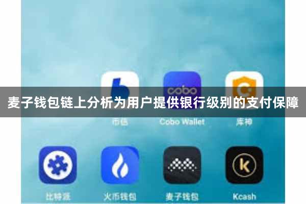 麦子钱包链上分析为用户提供银行级别的支付保障