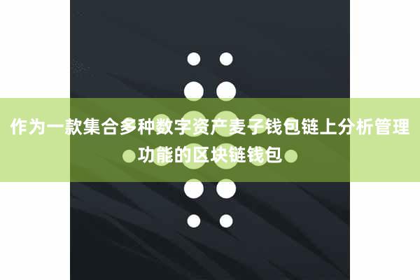 作为一款集合多种数字资产麦子钱包链上分析管理功能的区块链钱包