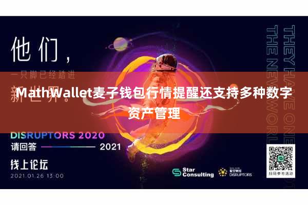 MathWallet麦子钱包行情提醒还支持多种数字资产管理